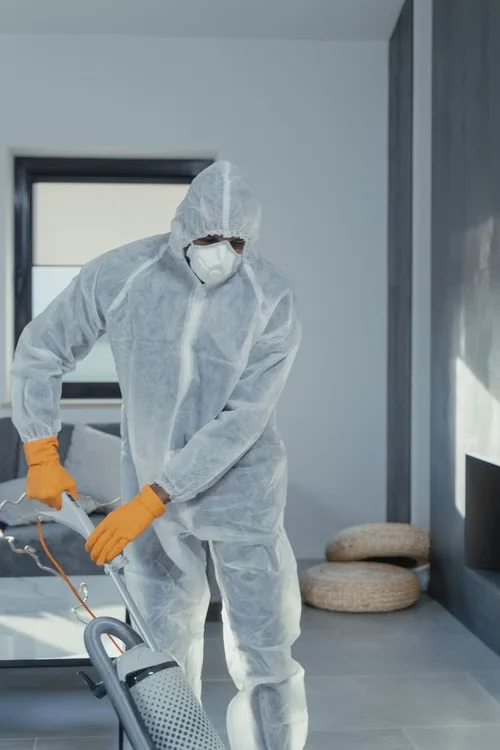 Professional cleaner wearing protective equipment