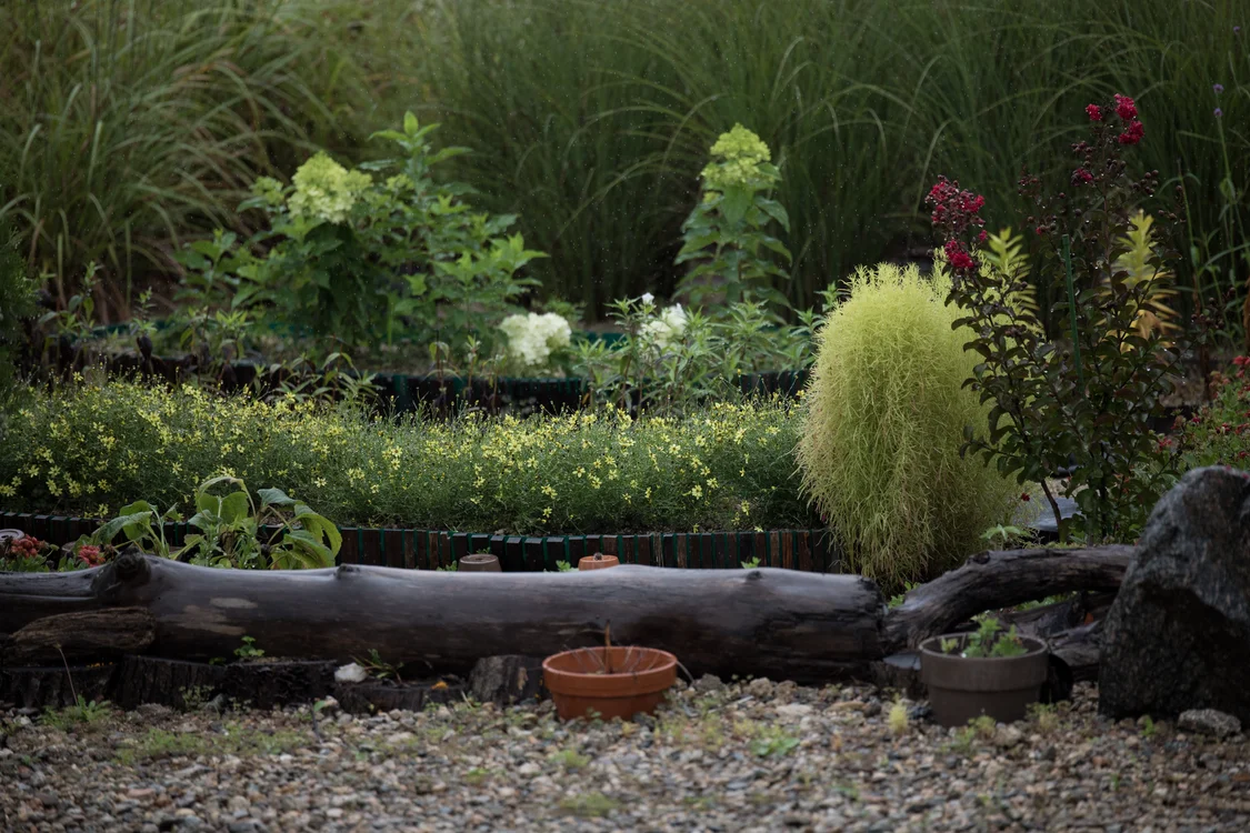 Professional gardening and grounds care
